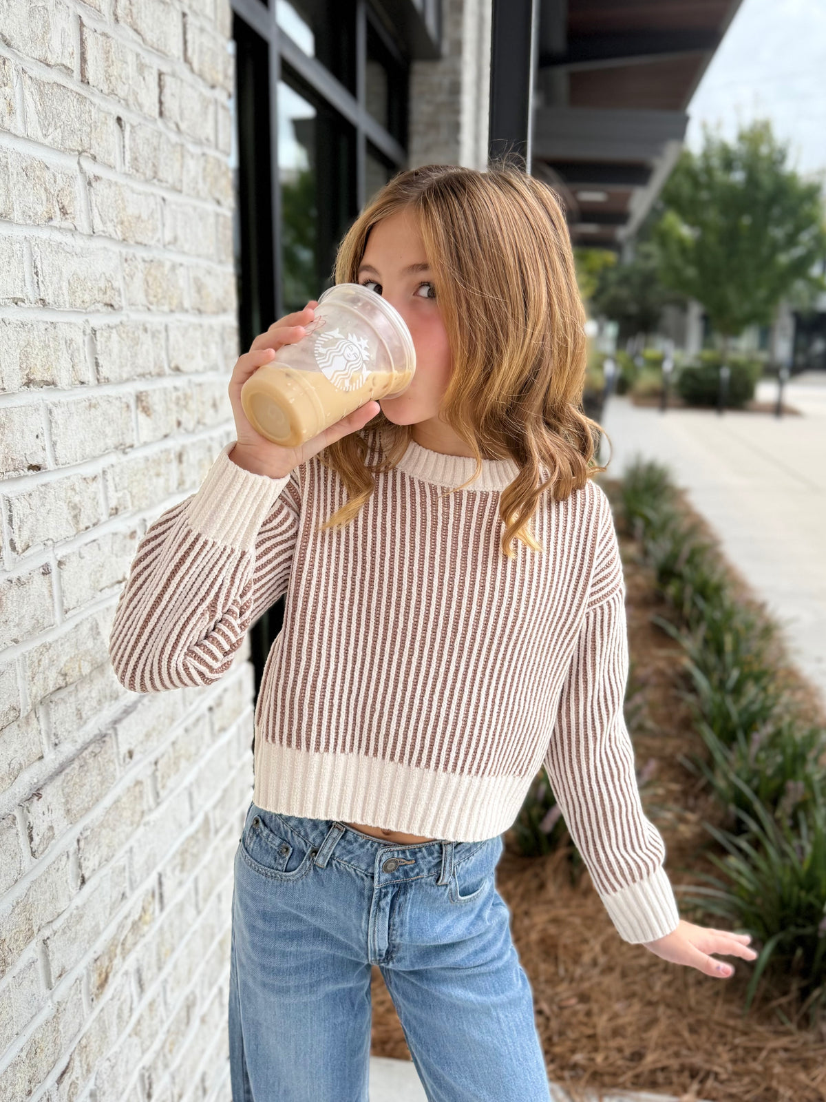 Mocha Stripe Cropped Sweater