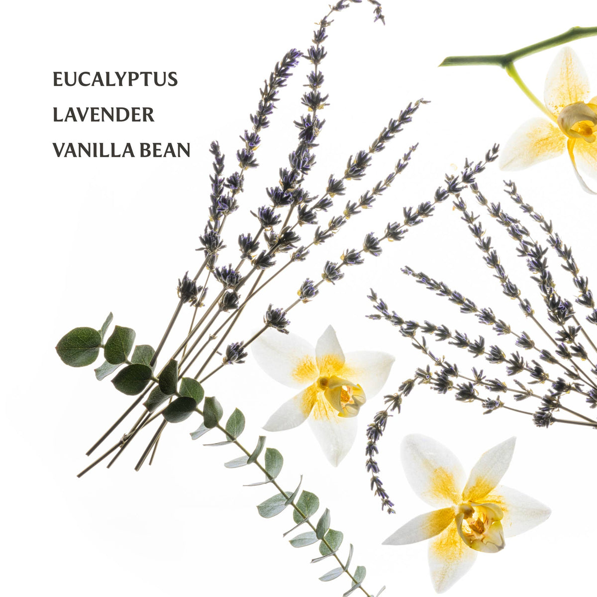 Pure Lavender Power Mist Hydrating Hand Sanitizer