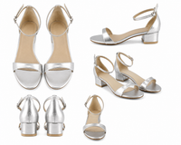 Micaela Silver Low Heel