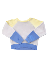 Pastel Stripe Sweatshirt