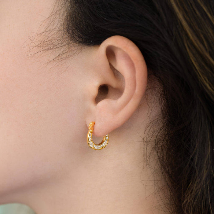 Horseshoe Hoops