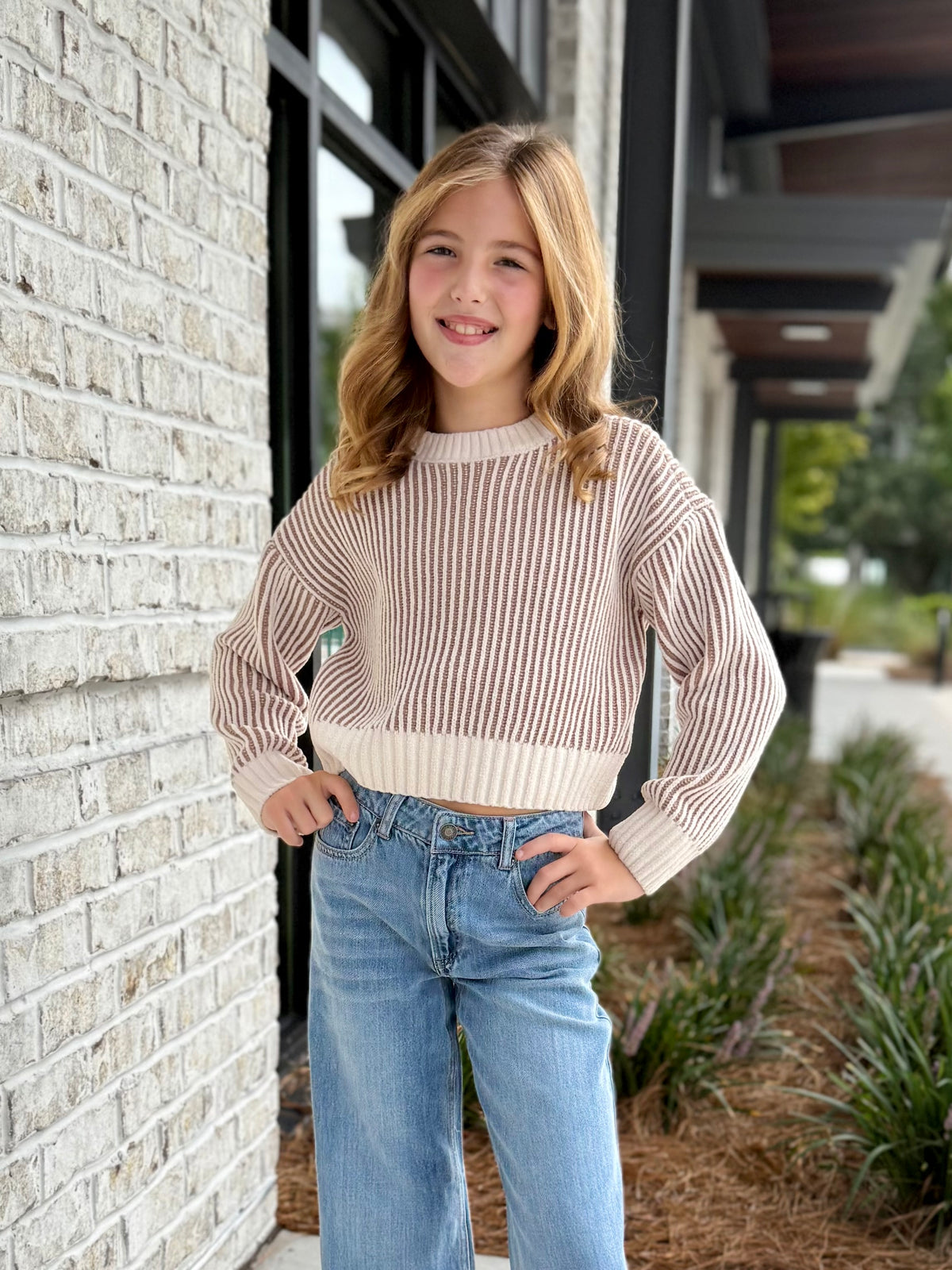 Mocha Stripe Cropped Sweater