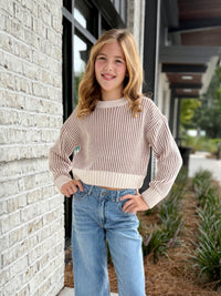 Mocha Stripe Cropped Sweater