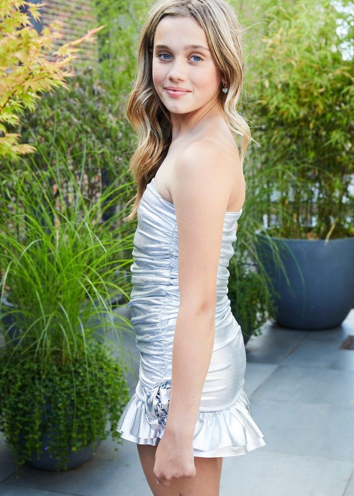 Silvie Silver Lame Ruffle Rose Dress