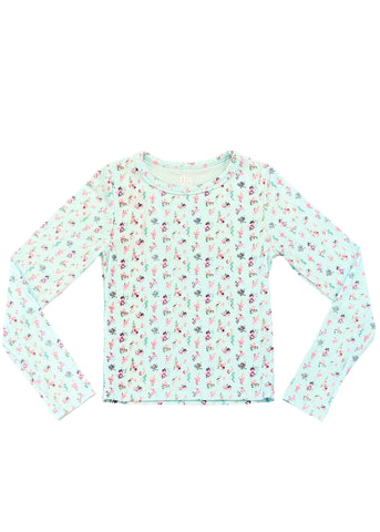 Teddy Bear Plush Shorts