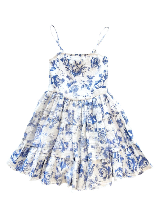 Blue Toile Dress