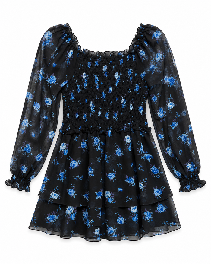 Blair Navy & Blue Floral Chiffon Dress