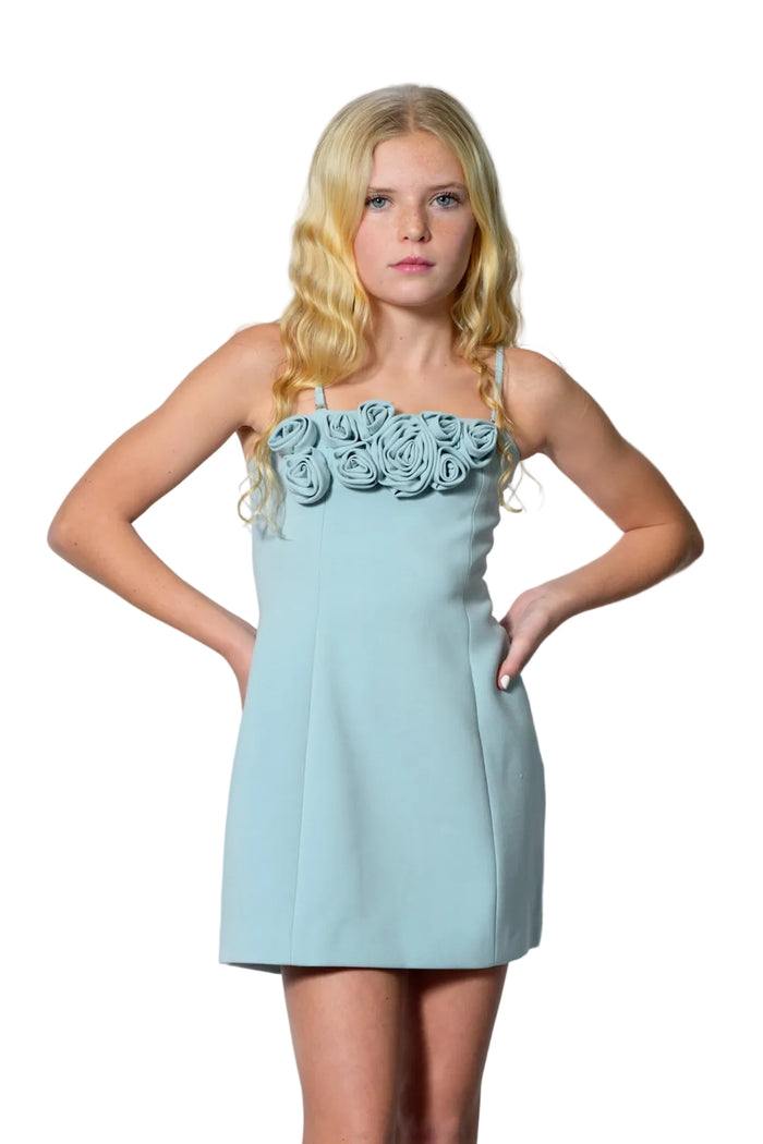 Tween Tova 3-D Appliqué Couture Dress