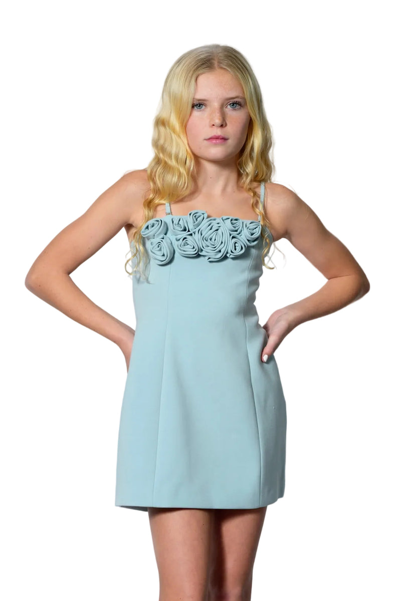 Tween Tova 3-D Appliqué Couture Dress
