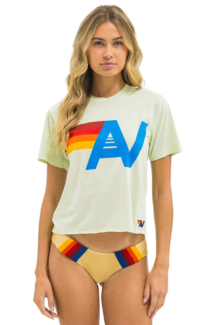 Aviator Nation Logo-Boyfriend Tee, Multiple Colors